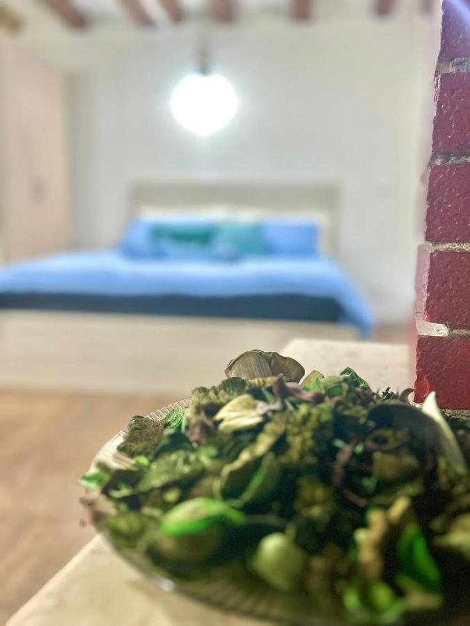 Residence Zar - 2 Триест Екстериор снимка